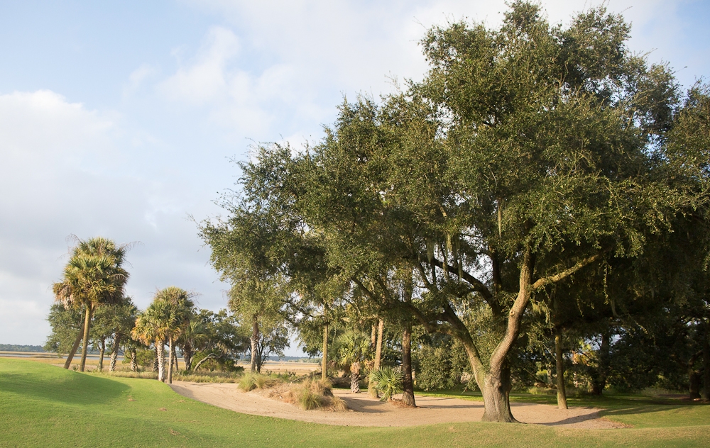 Photograph by Captured by Kate at River Course at Kiawah Island Club.