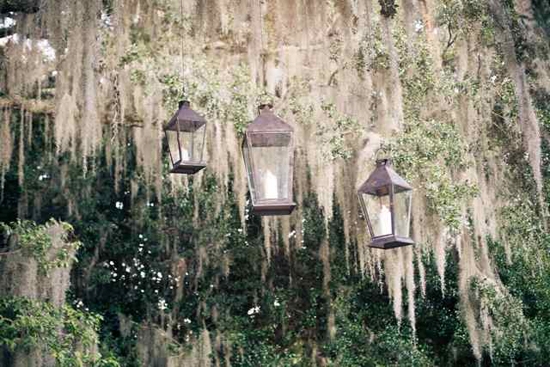 HANGING OUT: Lanterns from Loluma dangled from the venue’s giant oaks.