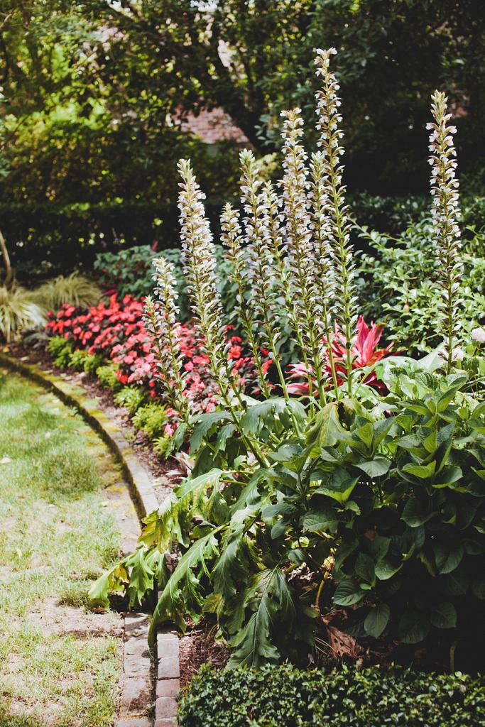 LUSH LAYERS: The Governor Thomas Bennett House’s yard featured an abundance of plants and flowers, providing natural beauty to the reception’s décor.