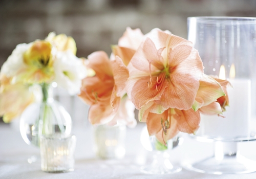 KEEP IT SIMPLE: To maintain the simply colored tablescape, Heather Barrie of Gathering placed small bouquets of coral amaryllis and lisianthus with parrot tulips near white candles in clear glass vases.