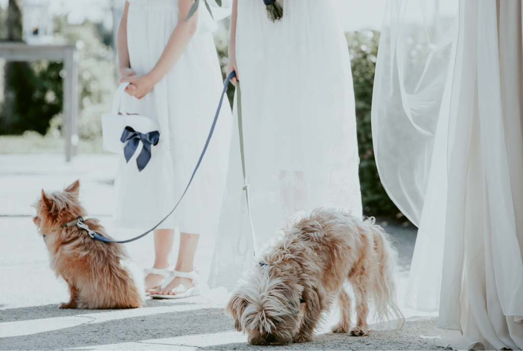 For the  Love of Dog - The couple’s pups, Atticus and  Pip, donned blue bow ties for the ceremony. Their beloved third dog, Rudy, passed away before the wedding, so the bride had paw prints sewn into the lining of her gown in his honor.