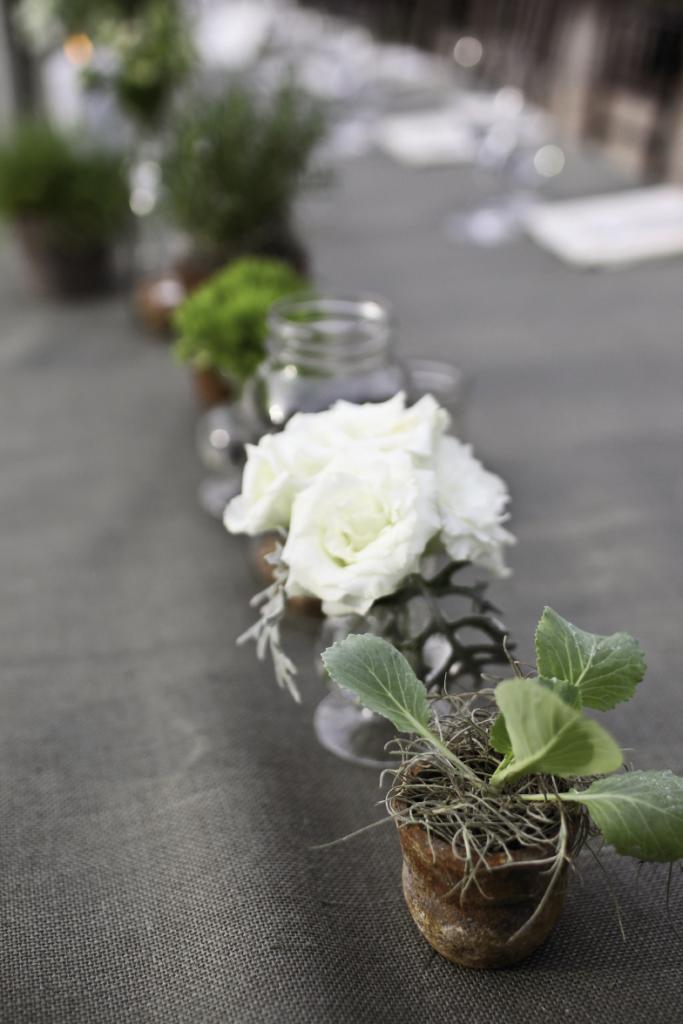 PLANTING AN IDEA: “Share your vision, then trust your vendors with the details,” says Kiften. Case in point? This charmingly planted row atop a long farm table from Event DRS.