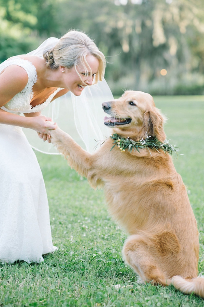 Image by Aaron &amp; Jillian Photography at Magnolia Plantation &amp; Garderns. Bride&#039;s attire by Mikaella. Hair by Paper Dolls. Floral dog collar by Wildflowers Inc.