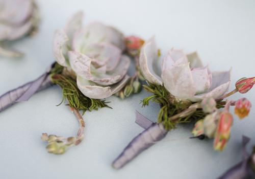 WRAPPED UP: Jason and his groomsmen sported succulent boutonnieres tied with the same gray as the bridesmaids’ frocks.