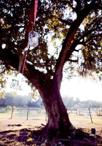 REE TOPS: Whitney of Branch Design Studio hung lanterns from live oak trees with ribbons for color before the sun set and warm lighting afterward.