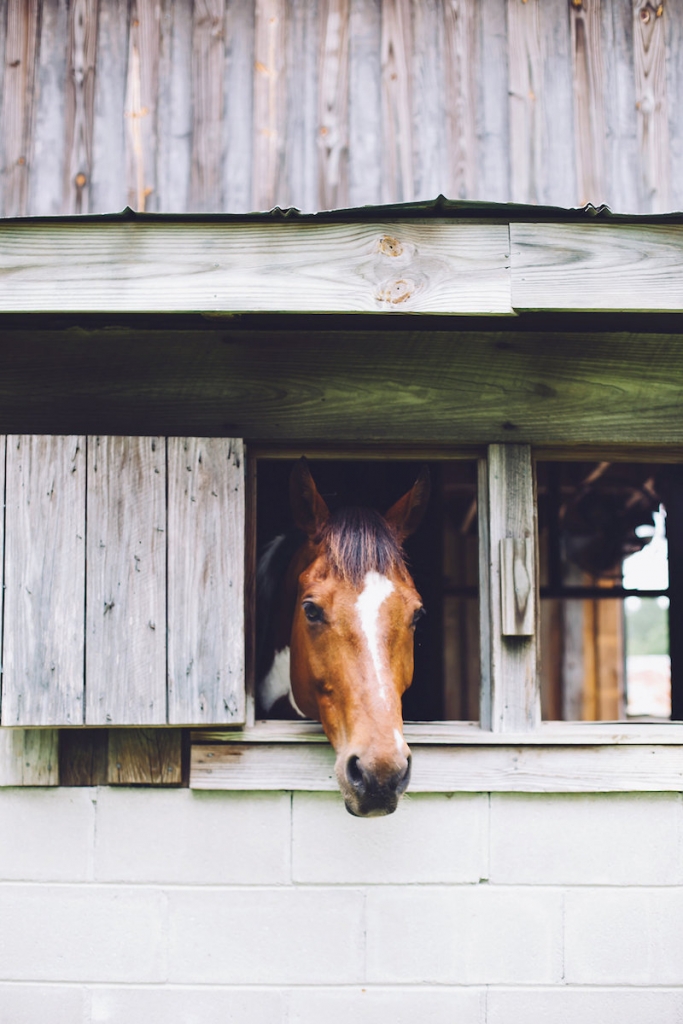 Image by Monika Gauthier Photography &amp; Design at The Stables at Boals Farm.