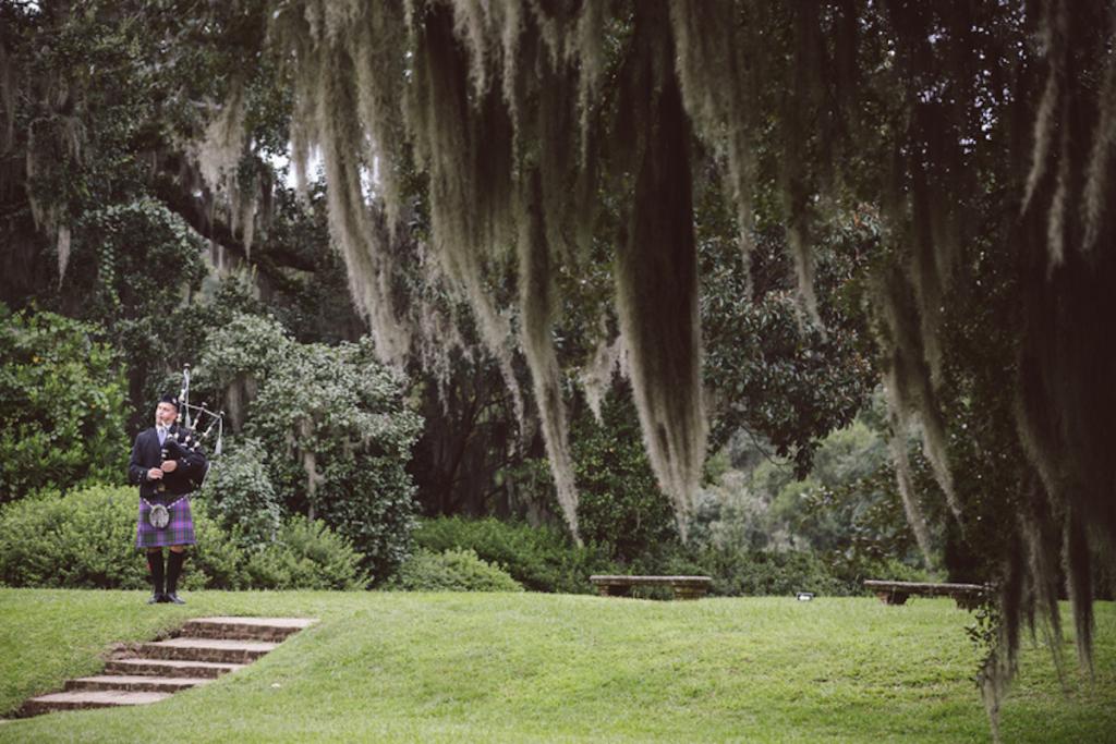 Image by amelia + dan photography at Middleton Place.